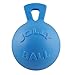 Jolly Pets Tug-n-Toss Heavy Duty Dog Toy Ball with Handle, 8 Inches/Large, Blueberry