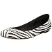 Dolce Vita Nova Flat 41lDapxaJcL. SL75 Dolce Vita Nova Flat