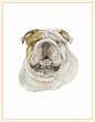 Fiddler's Elbow Bulldog Blank Box Note Cards