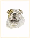 Fiddler's Elbow Bulldog Blank Box Note Cards
