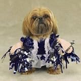 Spirit Paws Dog Costume - SMALL