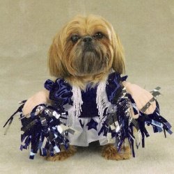 X-SMALL - SPIRIT PAWS - Pet Halloween Costume