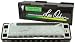 Lee Oskar Natural Minor Harmonica, Key of Bb
