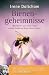 Bienengeheimnisse: Wie Bienen 