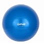 Altus Athletic 55cm 600-Pound Body Ball with DVD (Metallic Blue)