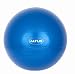 Health & Personal Care : Altus Athletic 55cm 600-Pound Body Ball with DVD (Metallic Blue)