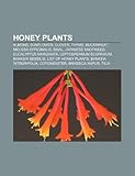 Honey Plants: Almond, Sunflower, Thyme, Buckwheat, Lemon Balm, Sisal, Japanese Knotweed, Eucalyptus Marginata, Leptospermum Scopariu-