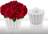 Joster Fleur Daily Cupcake Flower Vase, Vanilla