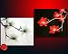 Flower Painting Feng Shui Painting Yin Yang Flower Painting 110