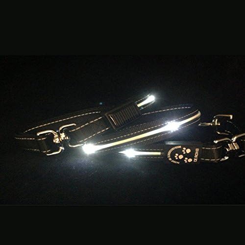 Lighted USB/Solar Rechargeable Dog Leash with Multiple LEDs