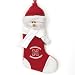 Nebraska Cornhuskers NCAA Snowman Holiday Stocking (22)"