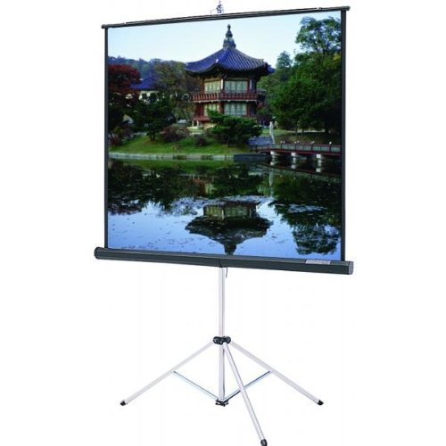 Silver Matte Picture King w/ Keystone Eliminator - AV Format 84" x 84