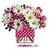 Polka Dots & Posies