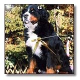 Dogs Bernese Mountain Dog - Bernese Mountain Dog - Wall Clocks