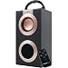 Buy Portable Media - Sound Logic Rechargeable Portable Media Speaker with USB (72-4796)