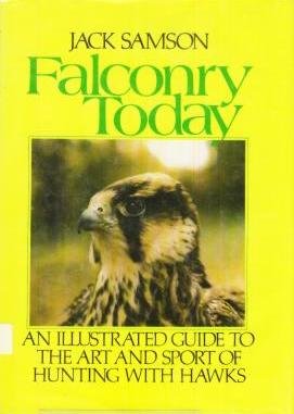 Falconry Today