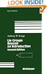 Lie Groups Beyond an Introduction