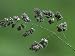 Cocksfoot, Raindrops on Paniclesmay, England Photographic Poster Print by Mark Hambli...