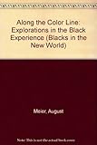 Along the color line : explorations in the black experience