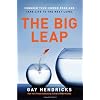 The Big Leap: Conquer Your Hidden Fear and Take Life to the Next Level