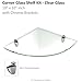 Fab Glass and Mirror Floating Shelf (Corner) 10x10 Inch W/Chrome Brackets-Clear Glass Shelves, 10