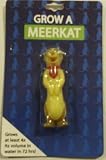 Grow Your Own Meerkat