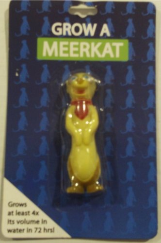 Grow Your Own Meerkat