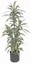 6' Artificial Silk Warnecki Column Tree