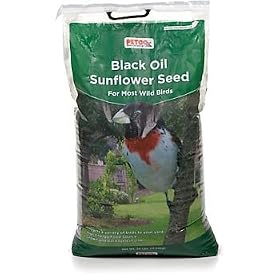 PETCO Black Oil Sunflower Seed by Petco