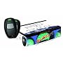 AVITAL 4113L Remote Start System