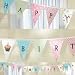 Happy Birthday Cupcake Vintage Banner
