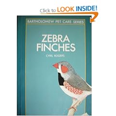 Zebra Finches