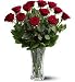One Dozen Red Roses