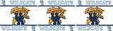 IMAGE OF Kentucky Wildcats Wall Border