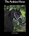 The Arabian Horse
