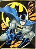 Warner Bros BATMAN Bat Splat Twin Size Royal Plush Blanket 60