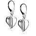 Sterling Silver Heart Dangle Earrings