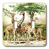 Florene Vintage - Old Painting Of Giraffes - Light Switch Covers - double toggle switch