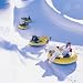 Produkt-Bild: Action Snowday