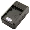 STK's Canon NB-4L Battery Charger - for Canon Powershot SD1400 IS, ELPH 300 HS, SD1400IS, SD750, ELPH 100 HS, SD1000, SD1100 IS, SD600, SD780, SD940 IS, SD630, SD400, SD940IS, SD940IS, SD960 IS, SD1100IS, ELPH 310 HS, SD300, TX1, SD200, SD960IS, Canon, Cannon, CB-2LV, CB-2LVE