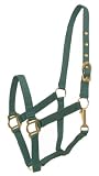 Wholesale Lot 12 Gatsby Classic Nylon Halters w/Snap - Hunter - Cob