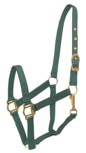 Wholesale Lot 12 Gatsby Classic Nylon Halters w/Snap - Hunter - Cob