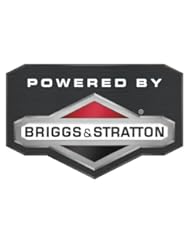 Briggs & Stratton Vanguard OHV Horizontal Engine with Electric Start - 305cc,...