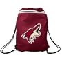 Concept One Backsack Phoenix Coyotes - Phoenix Coyotes Burgundy