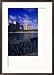Atlantis Resort, Paradise Island, Bahamas Architecture Framed Photographic Poster Print by Angelo Cavalli, 21x29