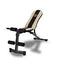 Gold's Gym WMGG224 Multi-Position Utility Bench
