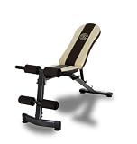 Gold's Gym WMGG224 Multi-Position Utility Bench