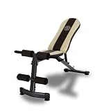 Gold's Gym WMGG224 Multi-Position Utility Bench