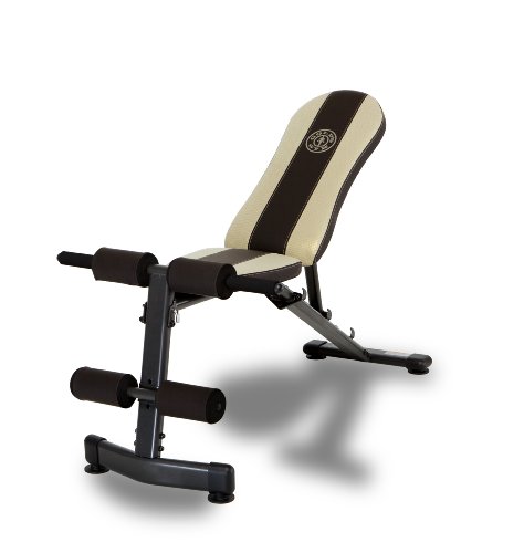 Golds Gym WMGG224 Multi Position Utility Bench 41lGcPG3XqL Golds Gym WMGG224 Multi Position Utility Bench