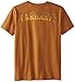 Carhartt Big Boys' Wood Plank Tee